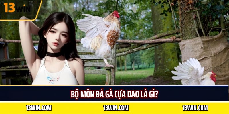 Bộ môn đá gà cựa dao là gì?