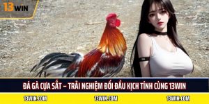 đá gà cựa sắt