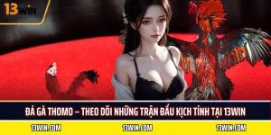 đá gà thomo