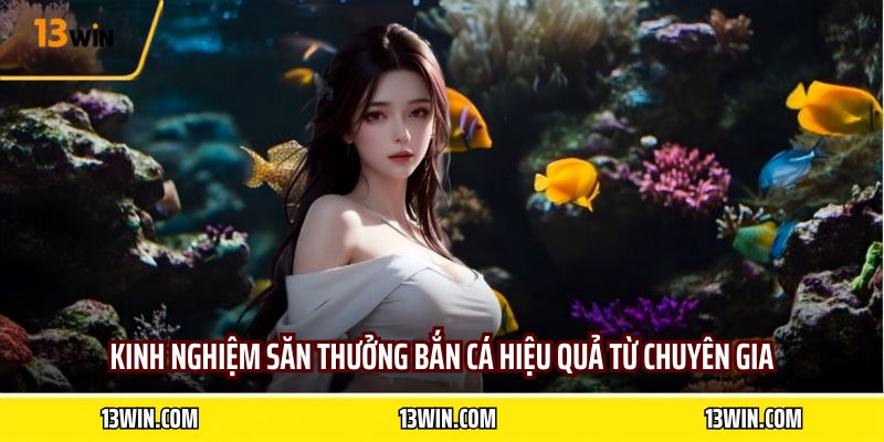 Kinh nghiệm săn thưởng bắn cá hiệu quả từ chuyên gia