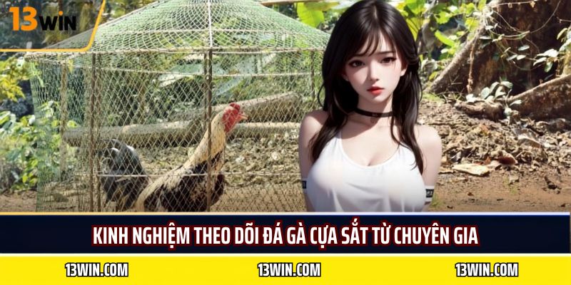 Kinh nghiệm theo dõi đá gà cựa sắt từ chuyên gia
