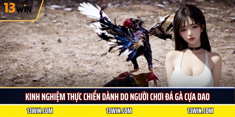 Kinh nghiệm thực chiến dành do người chơi đá gà cựa dao