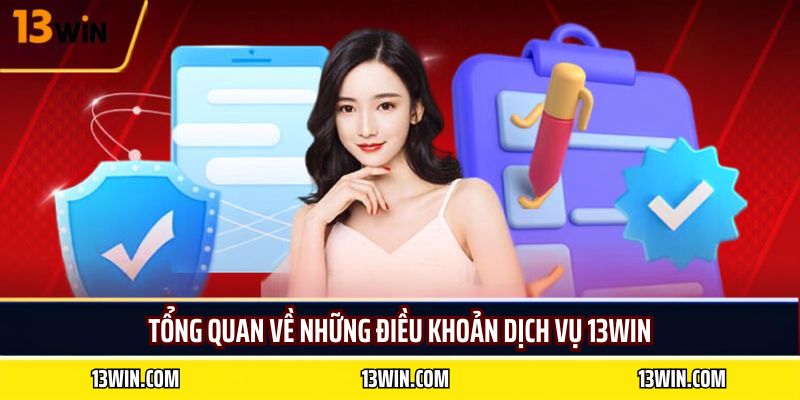 Tổng quan về những điều khoản dịch vụ 13WIN